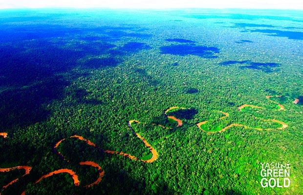 Ecuador fördert Öl am Rand des unberührten Regenwalds in Yasuní