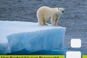 L’ours polaire et la forêt vierge  – Atelier pour enfants sur le changement climatique