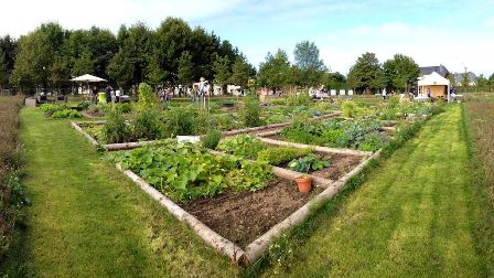 Projet-pilote « Jardin communautaire » à Bonnevoie-Kaltreis