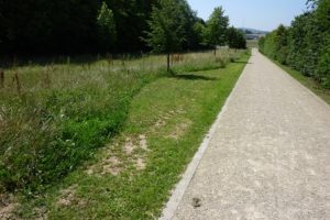 Bettemburg: Städtisches Grün und Biodiversität