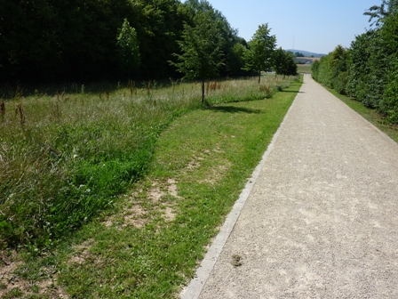 Bettemburg: Städtisches Grün und Biodiversität