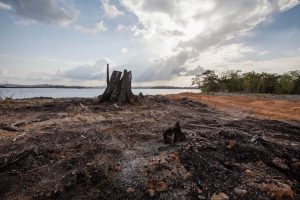 6., 7. und 8. November: Premiere in Luxemburg für Dokumentarfilm über Belo Monte-Staudamm