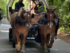 En Dag an der Natur – Nature & More – Family Day – 10 mai 2026