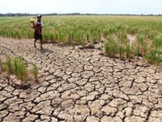 Politique climatique, développement durable – vus du Sud