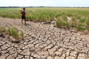 Politique climatique, développement durable – vus du Sud